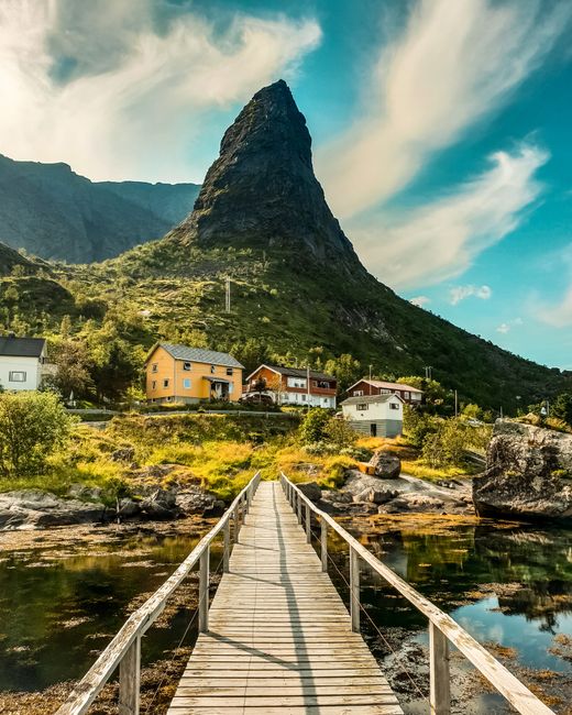 Tobias Bj�rklihttps://api.pexels.com/v1/photos/1559393