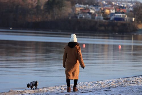 Free A woman in a coat walks her dog along a tranquil winter lake shore. Stock Photo