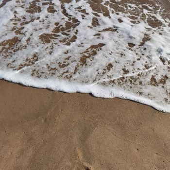 Captivating close-up of ocean waves gently lapping a sandy beach in daytime.