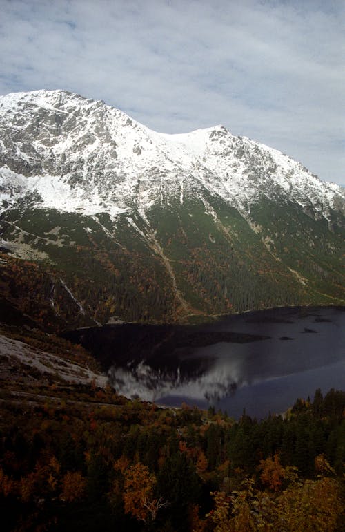 View of Autumnal Trees on Mountains with Snow at the Top and a Body of Water in the Valley 