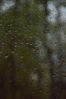 Close-up of raindrops on a glass pane with a blurry natural backdrop.