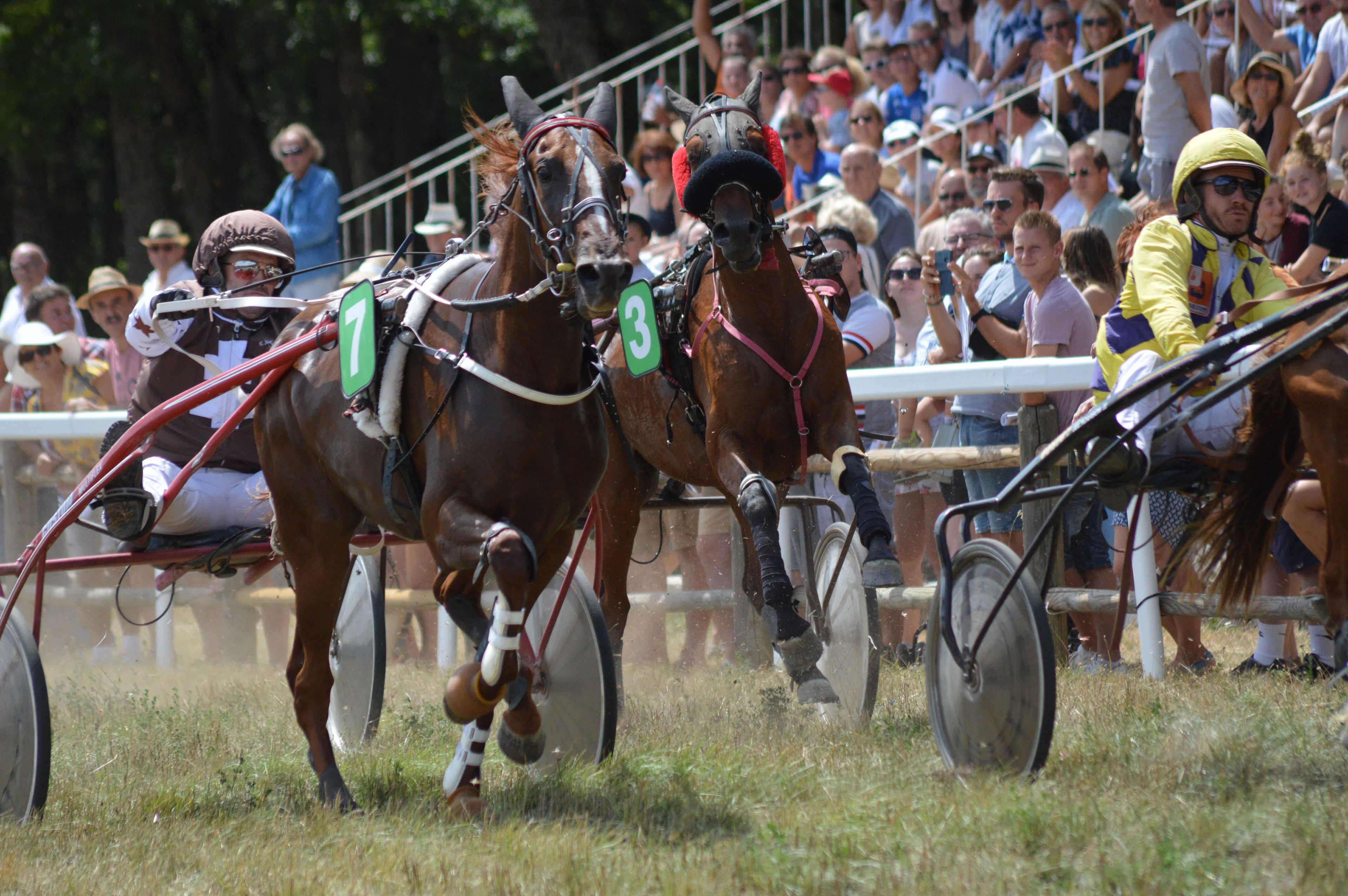 Royal Ascot Chauffeur — chauffeur travel for the occasion