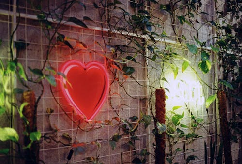 Heart Shaped Neon Decoration