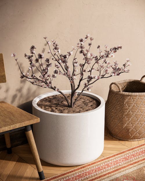 A Small Flowering Tree in a Pot Standing in a Room by the Wall 