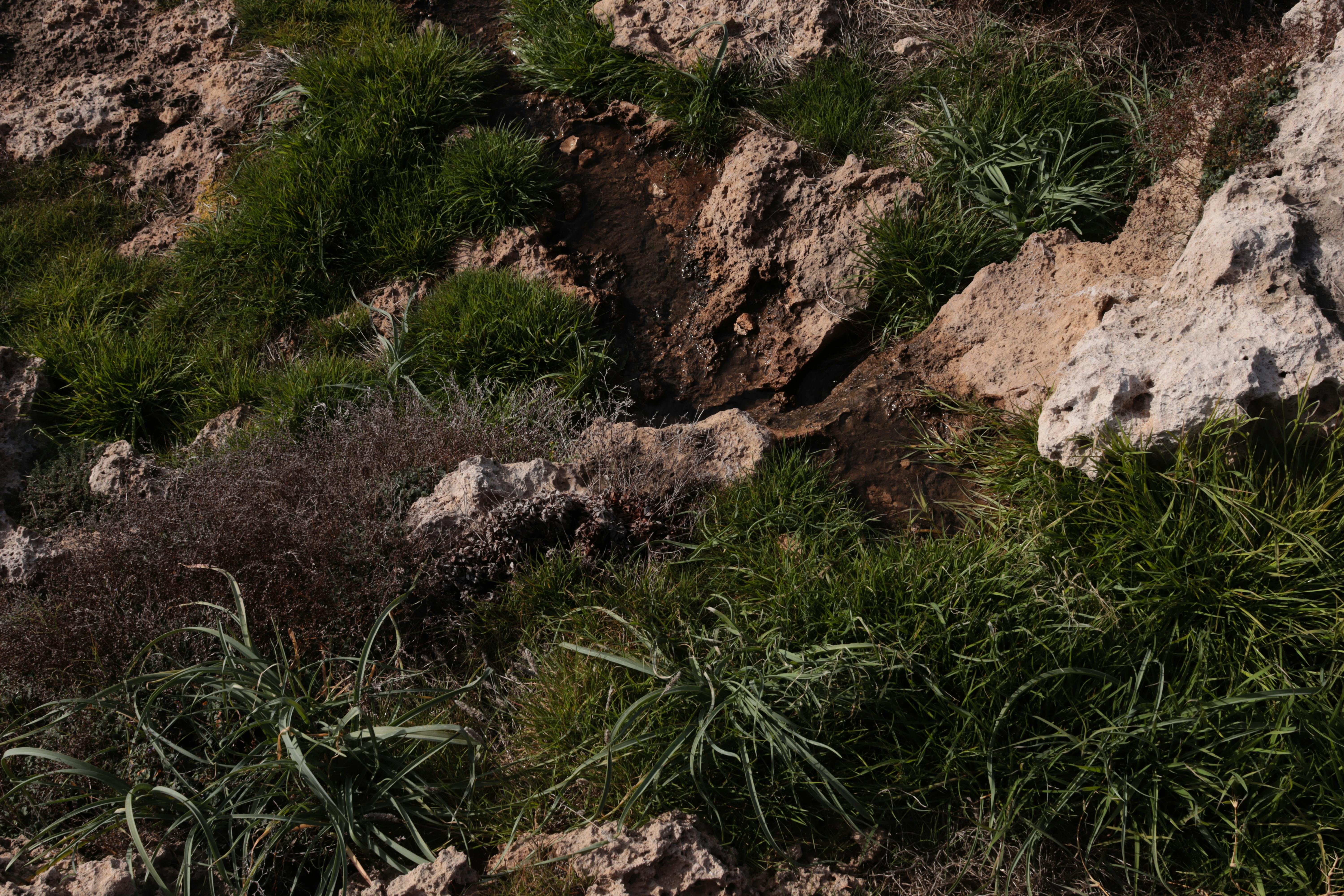 Airport transfers in Paphos