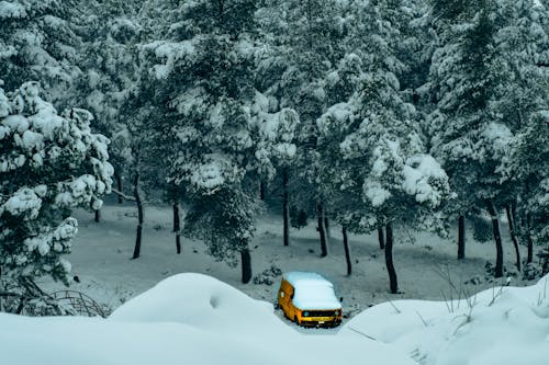 冬季, 卡車, 原本 的 免费素材图片