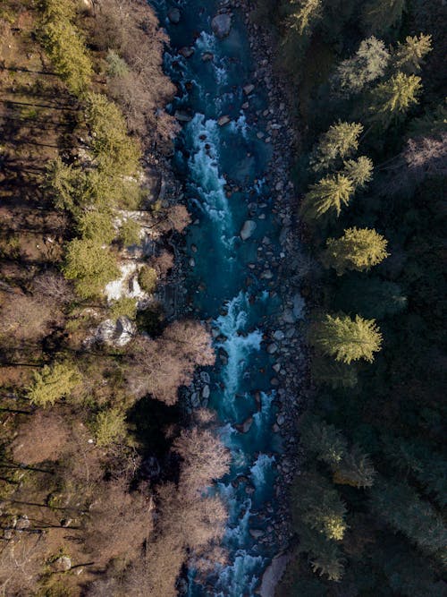 Kostnadsfri bild av drönarbilder, fågelperspektiv, flod