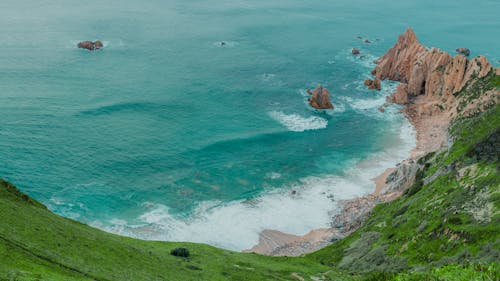 aşınmış, çim, deniz içeren Ücretsiz stok fotoğraf