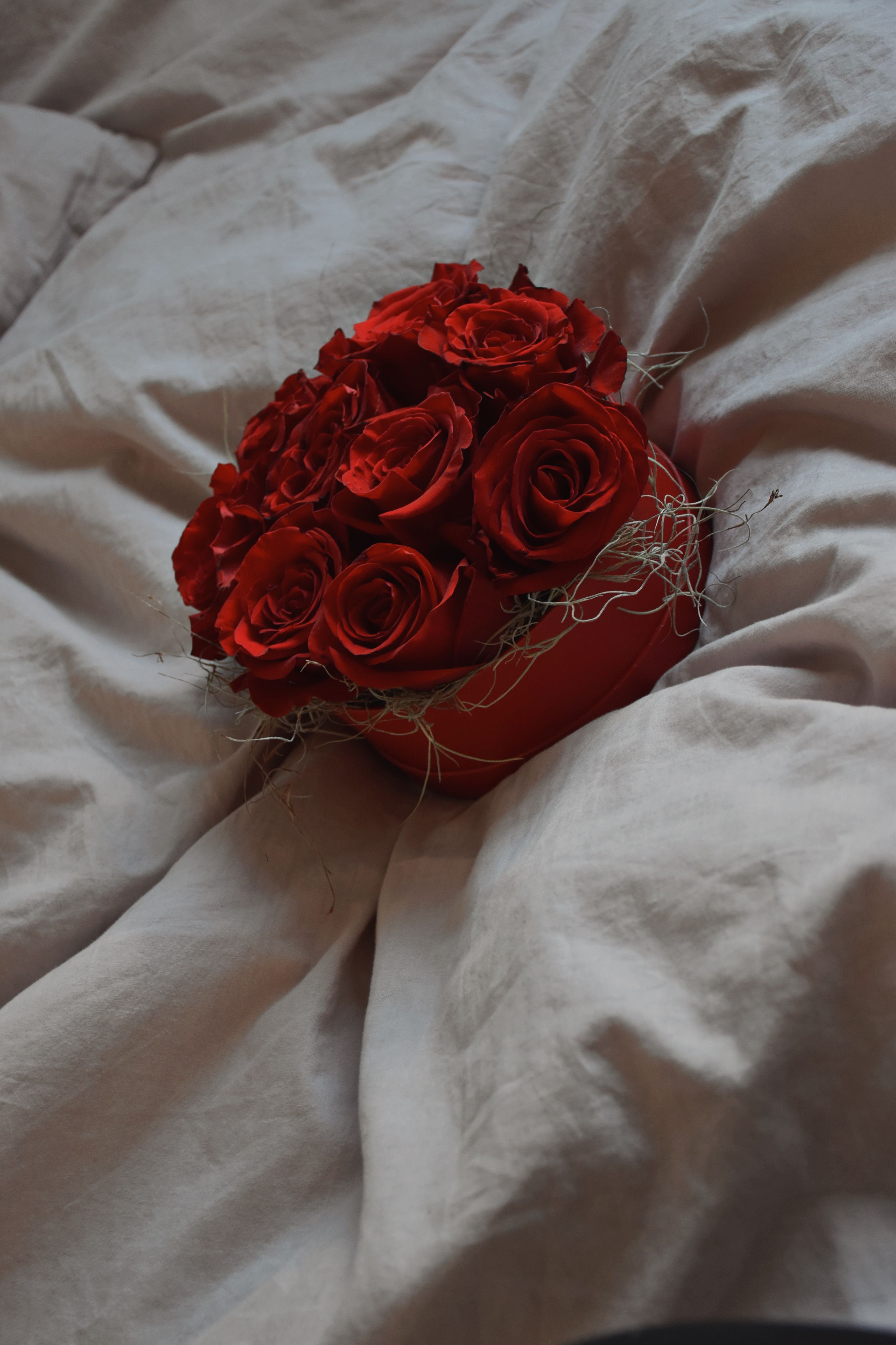 Bon Jovi Bed Of Roses Photos Download The Best Free Bon Jovi Bed Of