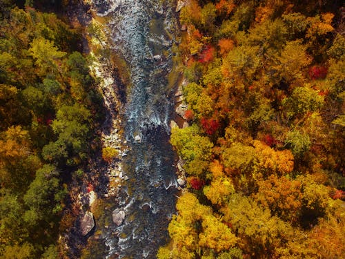 Aerial View of River