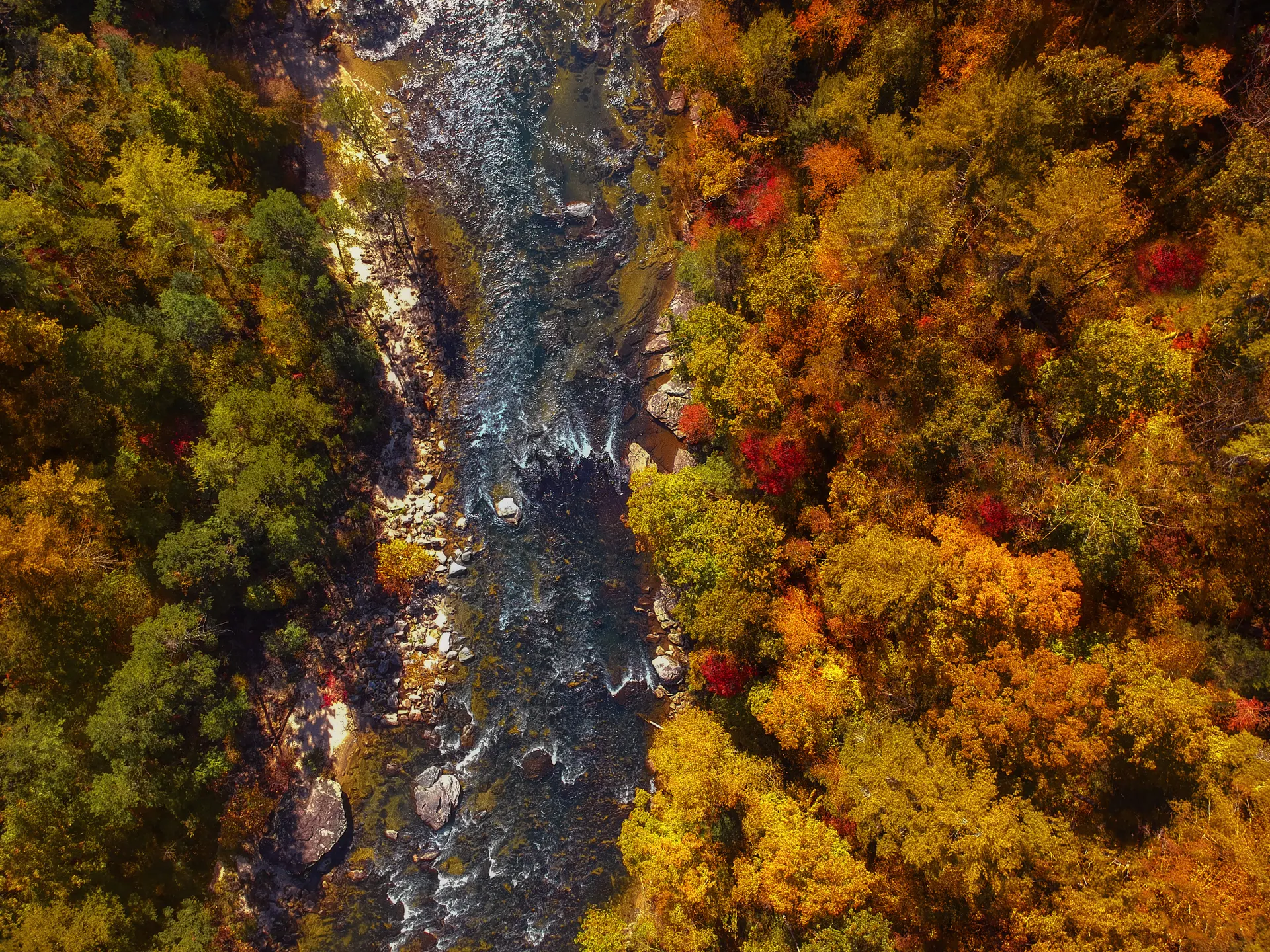 Hurricane Falls Trail at Tallulah Gorge: The Stairs, the Suspension Bridge, and What to Expect