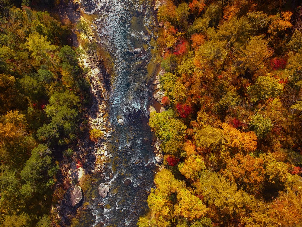 Free Aerial View of River Stock Photo