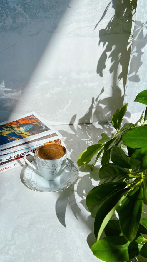 Free A cozy morning scene featuring coffee, books, and lively green plant, bathed in sunlight. Stock Photo