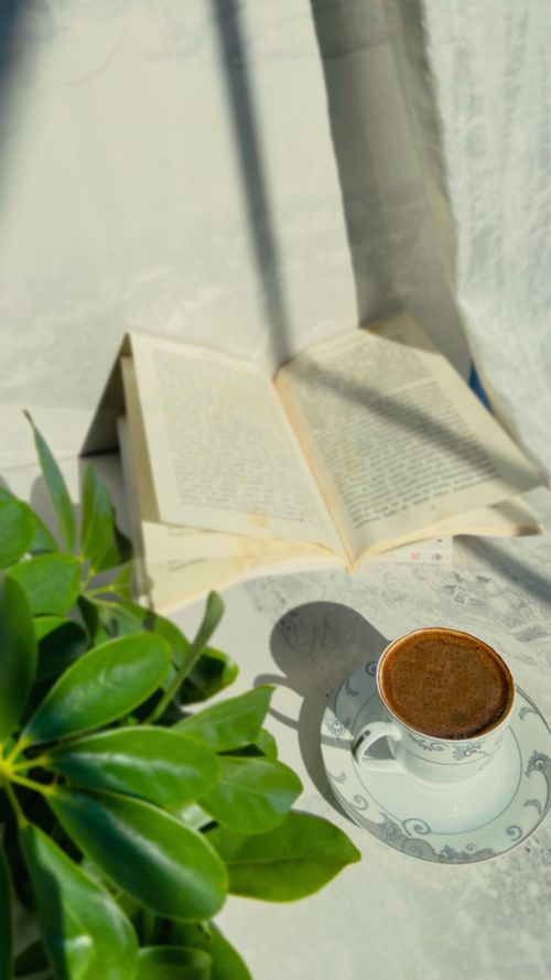 Free A peaceful morning scene with an open book, coffee, and greenery in sunlight. Stock Photo