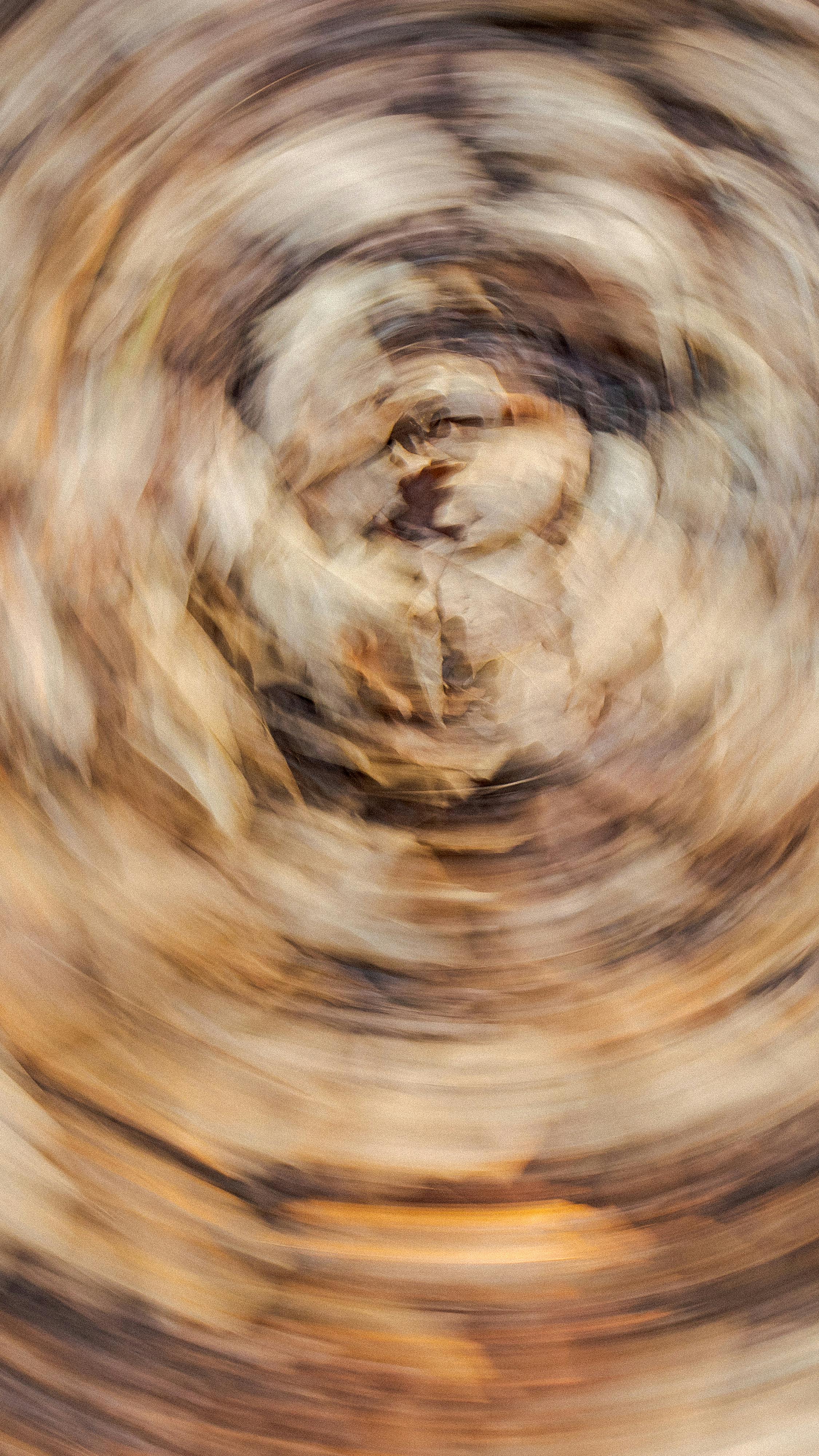 bezplatná Základová fotografie zdarma na téma 2020 tapety, abstraktní, abstraktní umění Základová fotografie