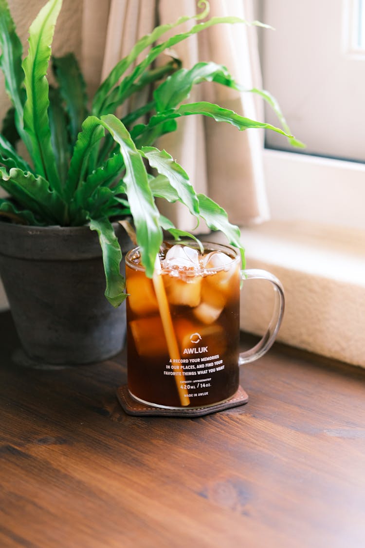 Cold Coffee With Ice In Glass Near Plant At Home