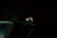 蜘蛛在黑暗表面上的特写，突出了其复杂的细节和纹理