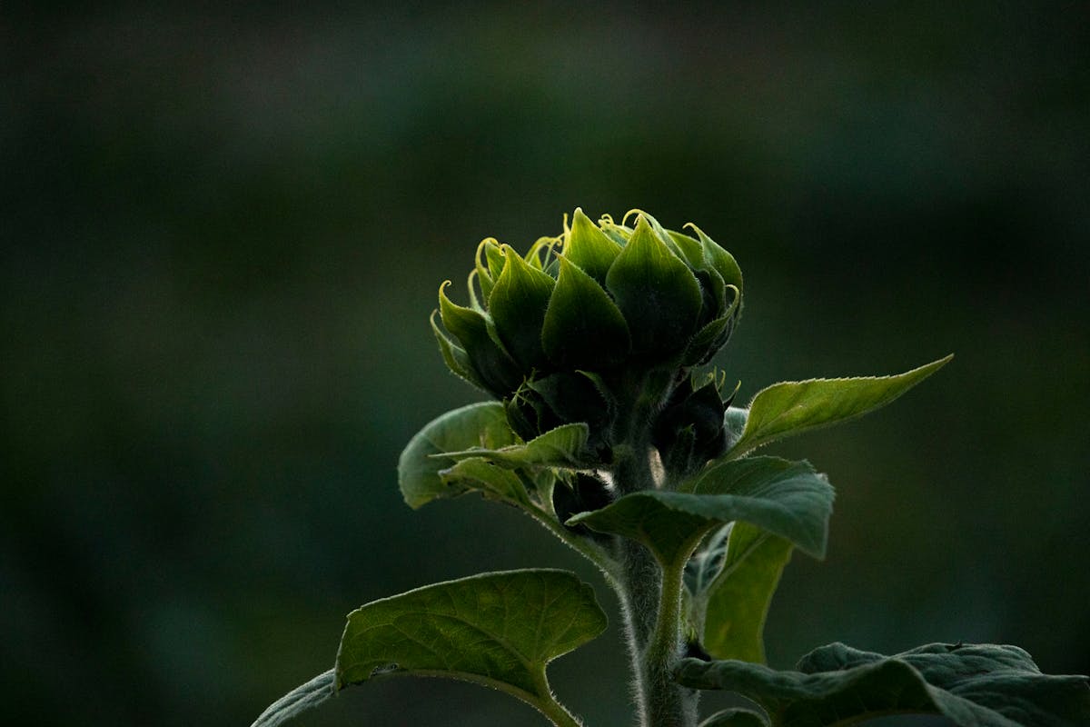 Person sitting on a couch at night scrolling through social media videos on a smartphone