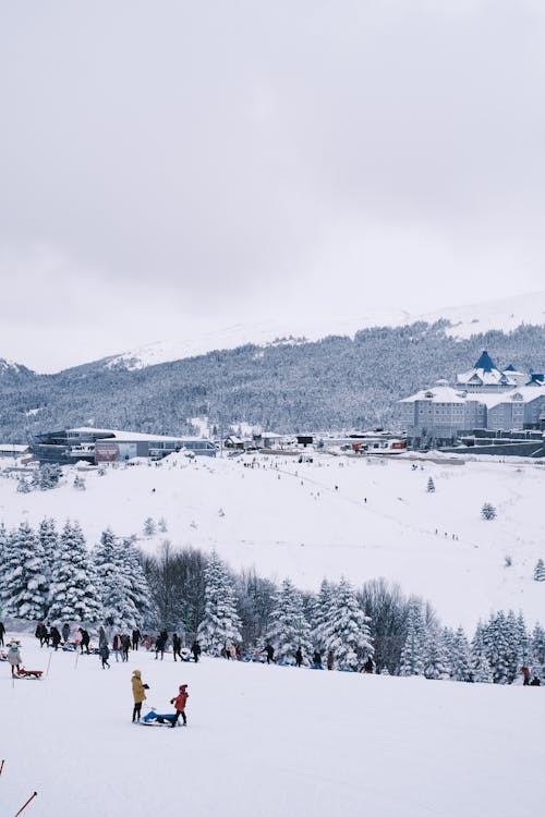 Fotobanka s bezplatnými fotkami na tému chladný, hory, hotel