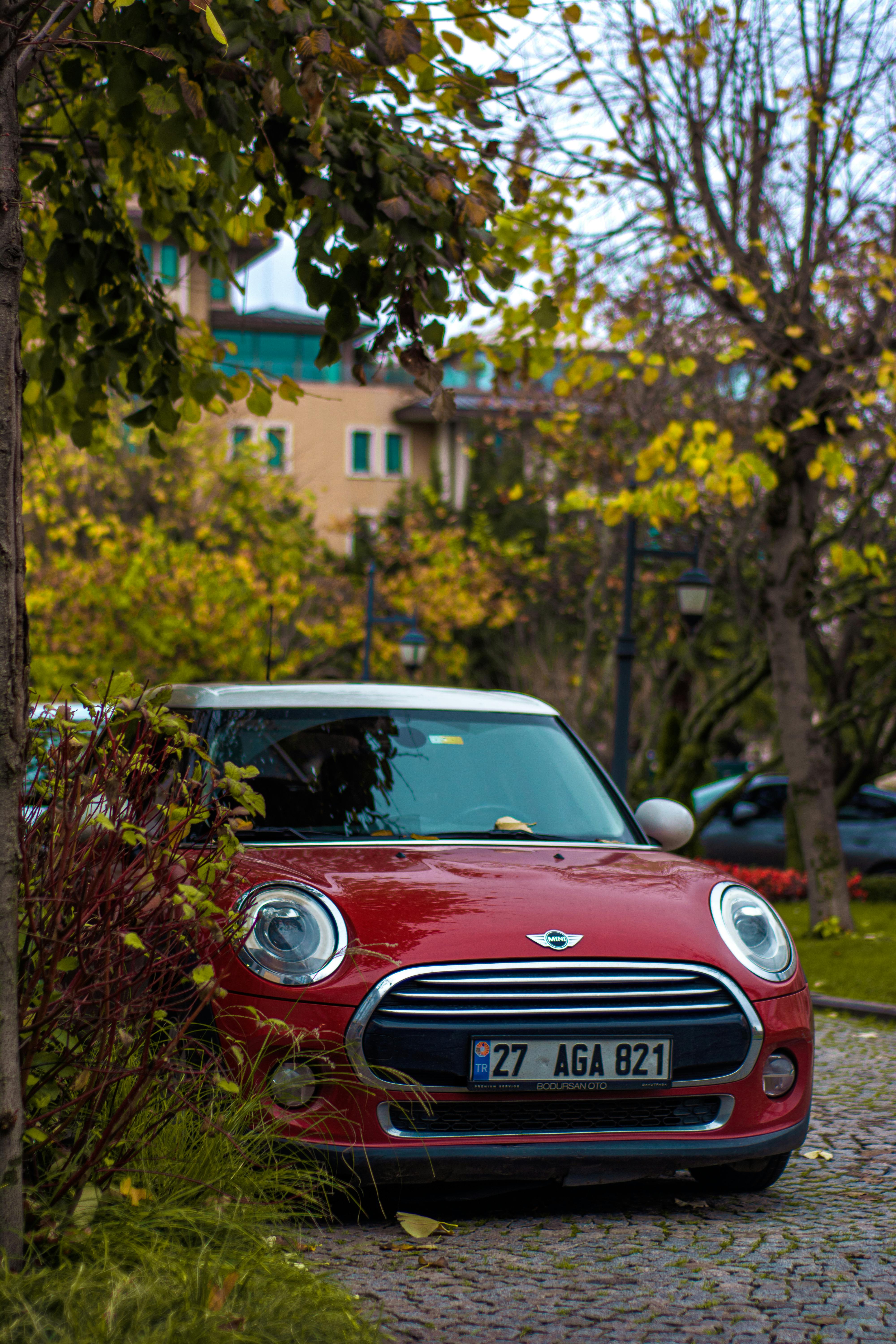 Tânără de 22 de ani prinsă la volan în Vama Veche – fără permis și în stare de ebrietate