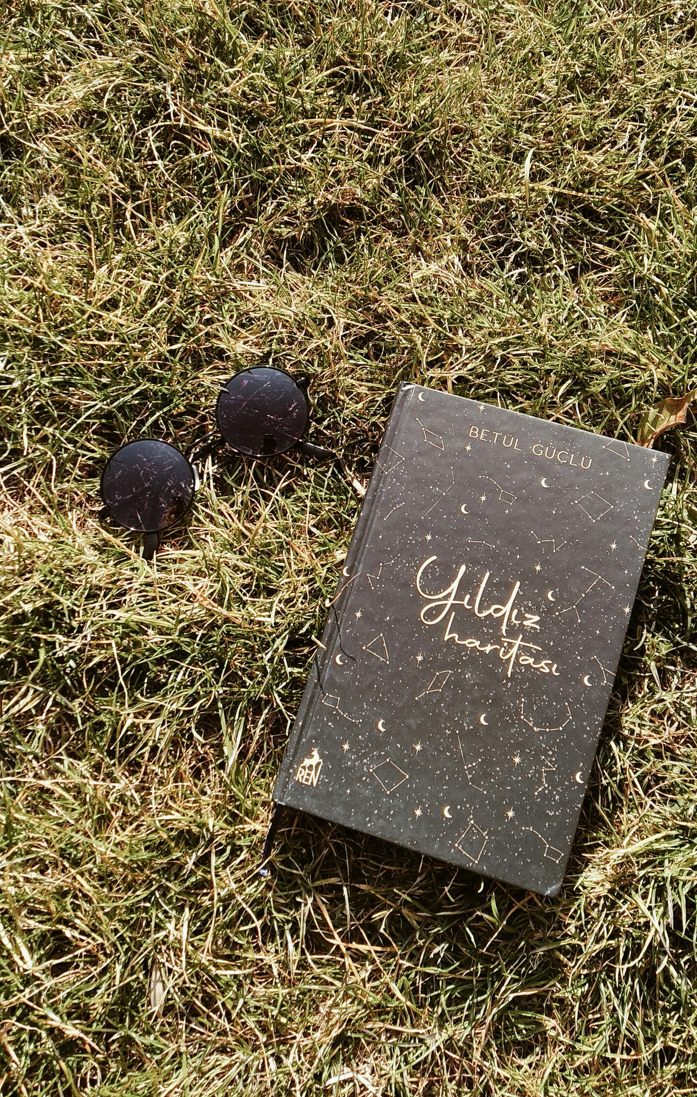 Relaxing summer scene with a book and sunglasses on grass, capturing a rustic vibe.