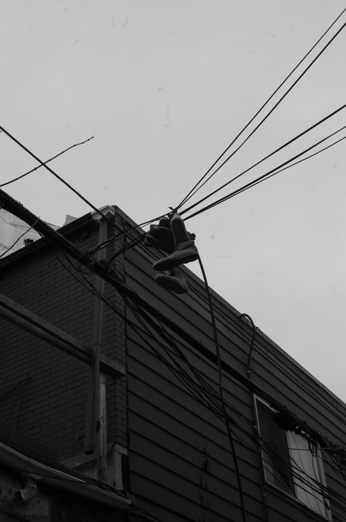 Free Black and white shot of sneakers hanging on cables against a building exterior. Stock Photo
