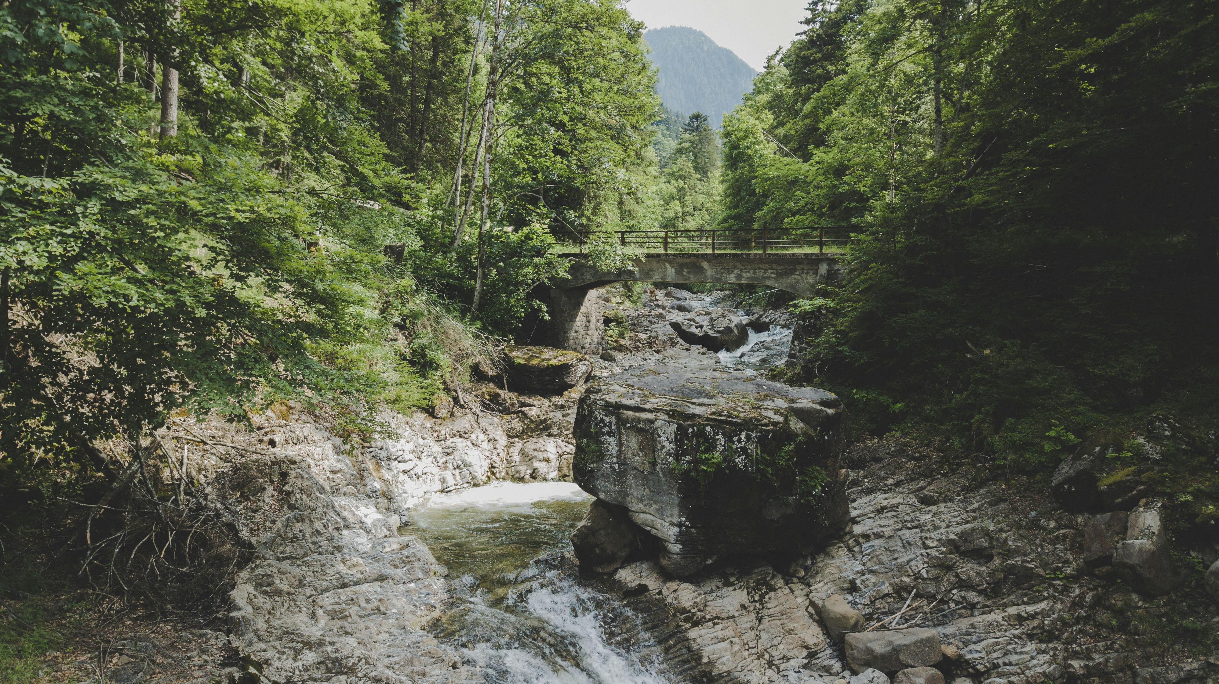 Embracing Life’s Trials Through the Book of Tobias: A Friendly Guide to Finding Strength in Adversity