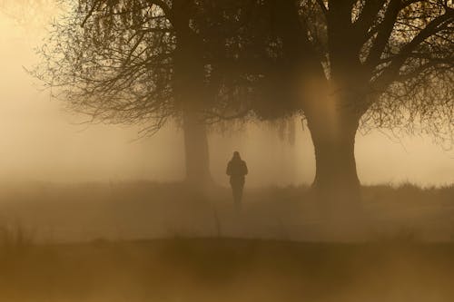 Person in Fog