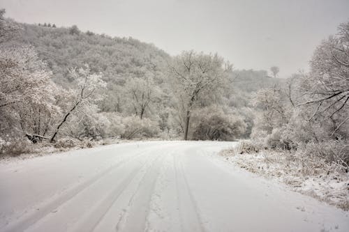 冬季, 山丘, 景觀 的 免費圖庫相片