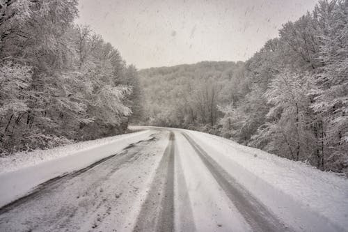 A Snowy Road between Trees in Winter 