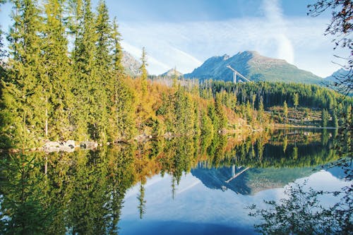 Kostnadsfri bild av barrträd, berg, dagsljus