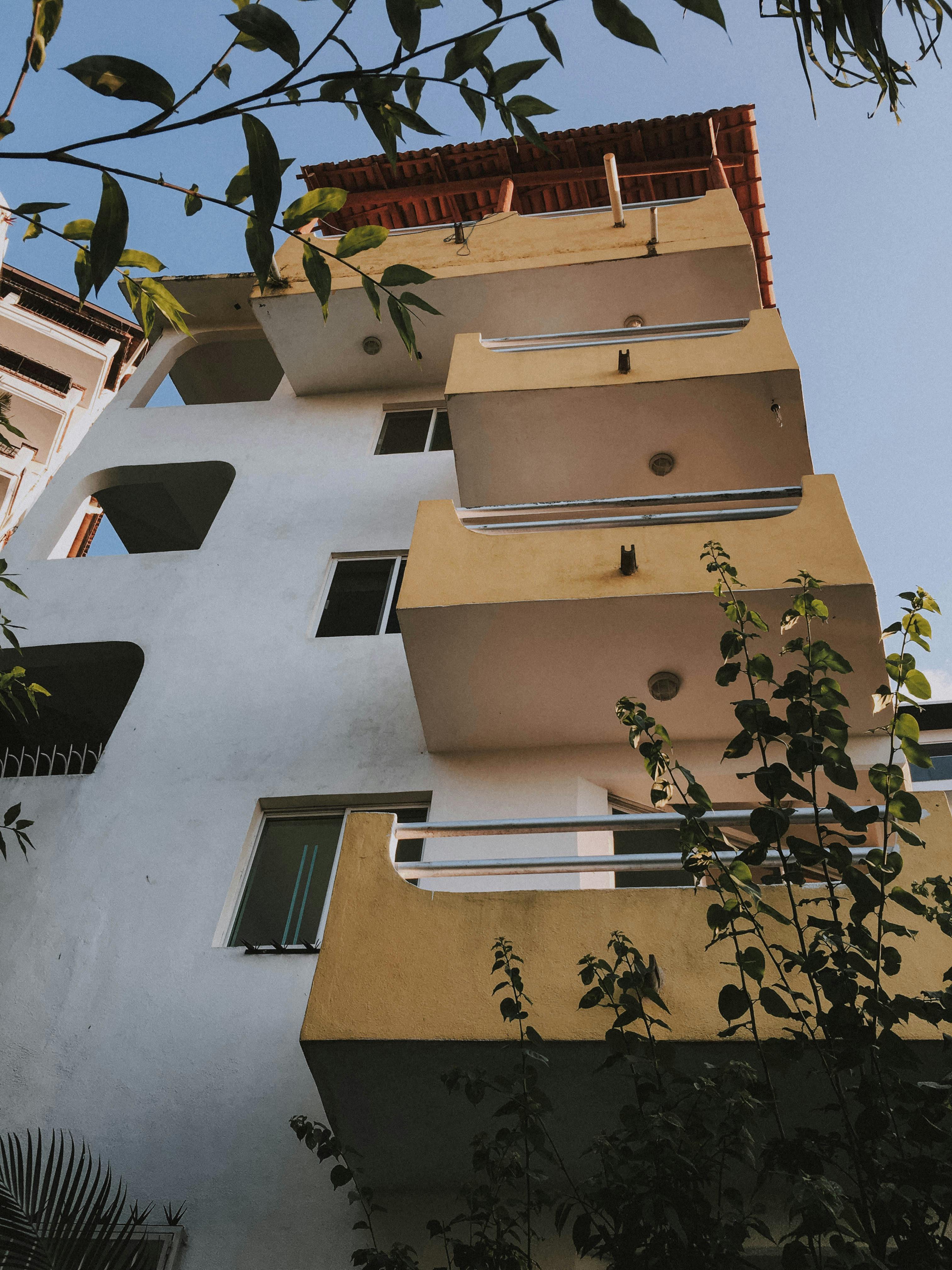 Kas Gelişimini Destekleyen Yüksek Proteinli Smoothie Tarifleri: Enerji Dolu Bir Başlangıç