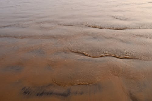 A bird flies over the water in the sand