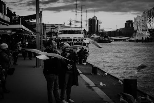 People Watching Seagulls on City Boardwalk