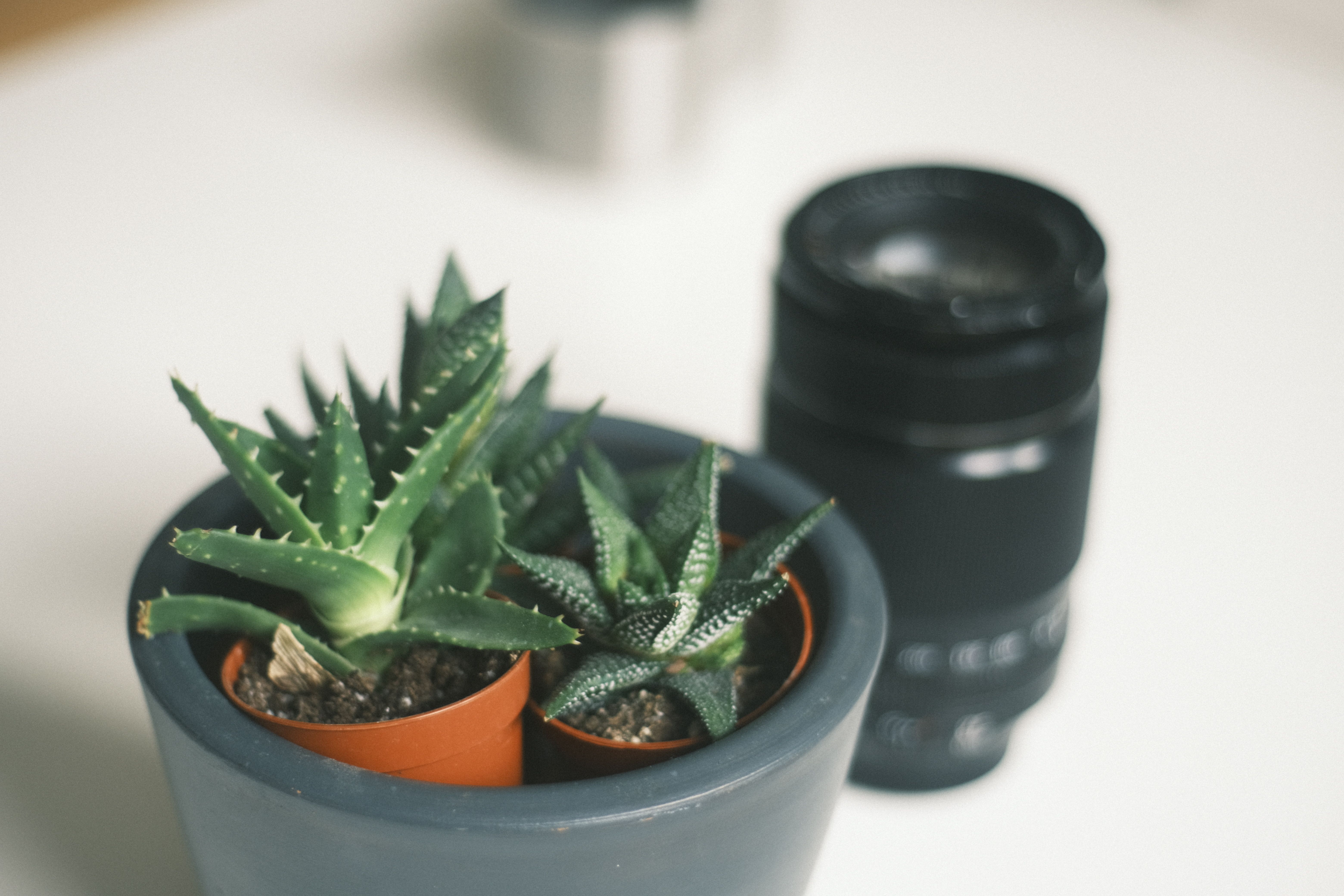 Five small steps toward asking for help kindly