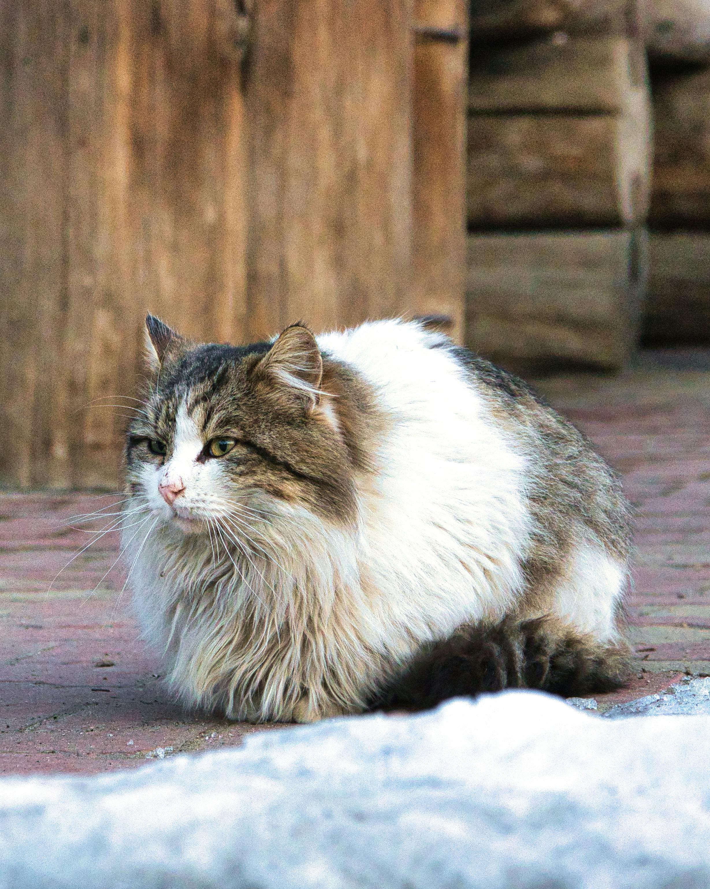 How Much Can You Really Earn Through YouTube?