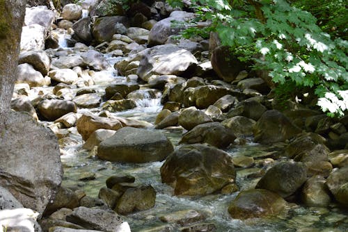 Close-up of a Stream Flowing between Rocks 