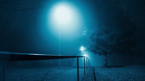 Streetlamps Giving Cool Toned Light in a Foggy Park at Night 