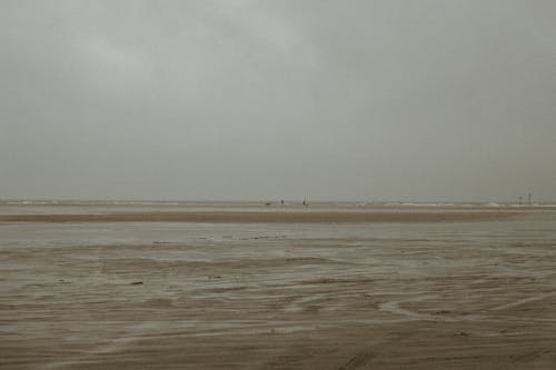 날씨, 모래, 빈의 무료 스톡 사진