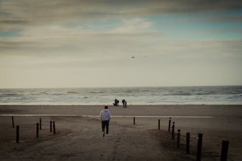 คลังภาพถ่ายฟรี ของ การเดิน, ชายหาด, ตอนเย็น