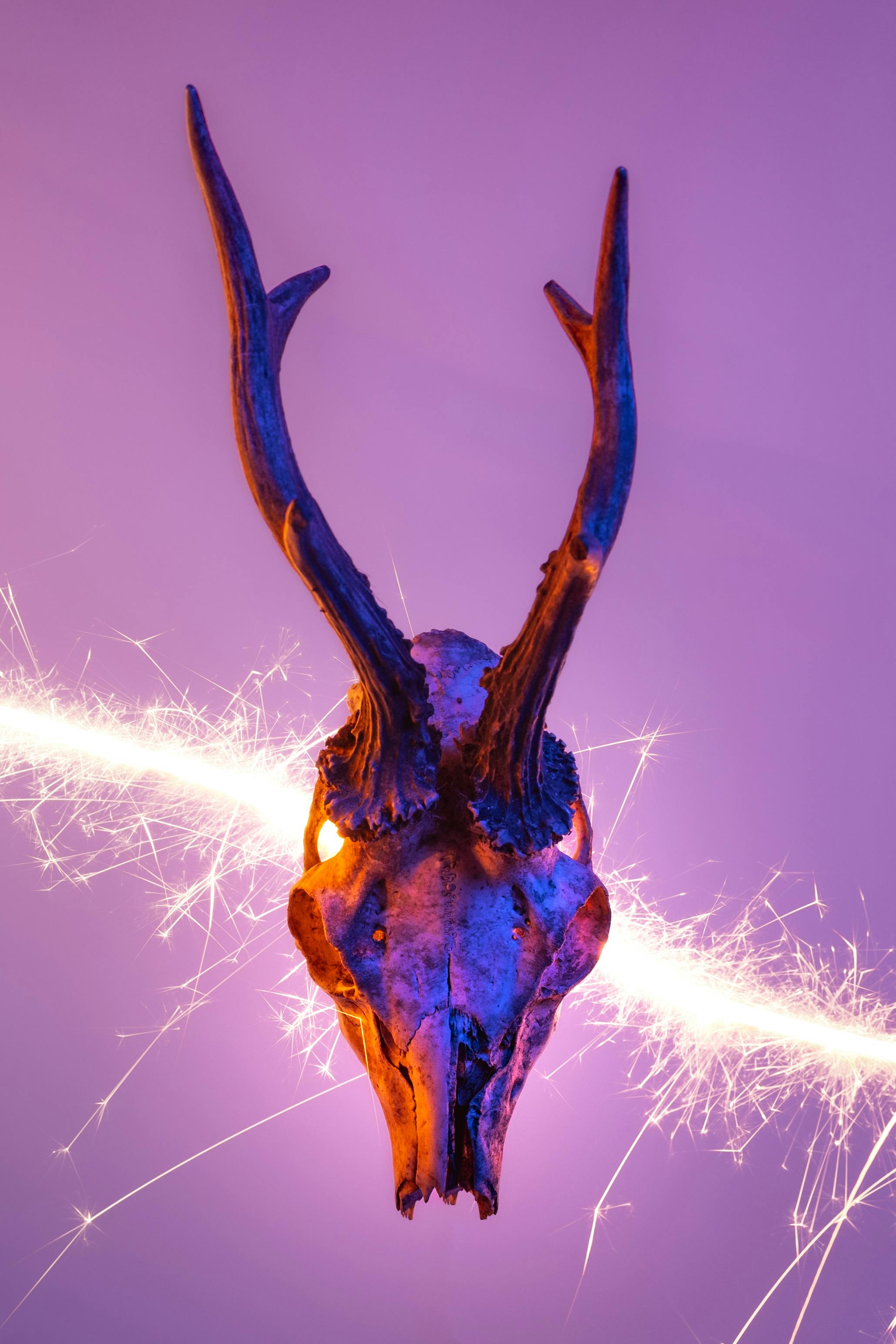 Gratuit Imagine de stoc gratuită din abstract, alcool, anatomie Fotografie de stoc