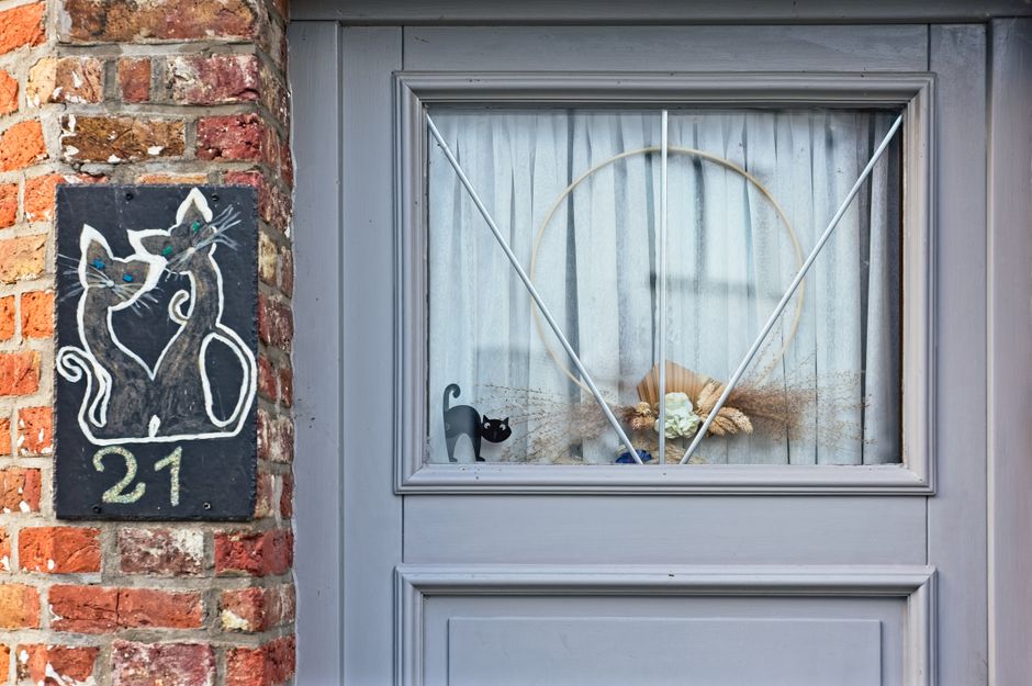 Understanding Home Insurance for Blue Plaque Properties in 2026