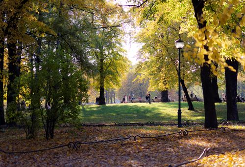 Free Scenic view of a sunlit park in autumn, with people sitting on benches under the trees. Stock Photo