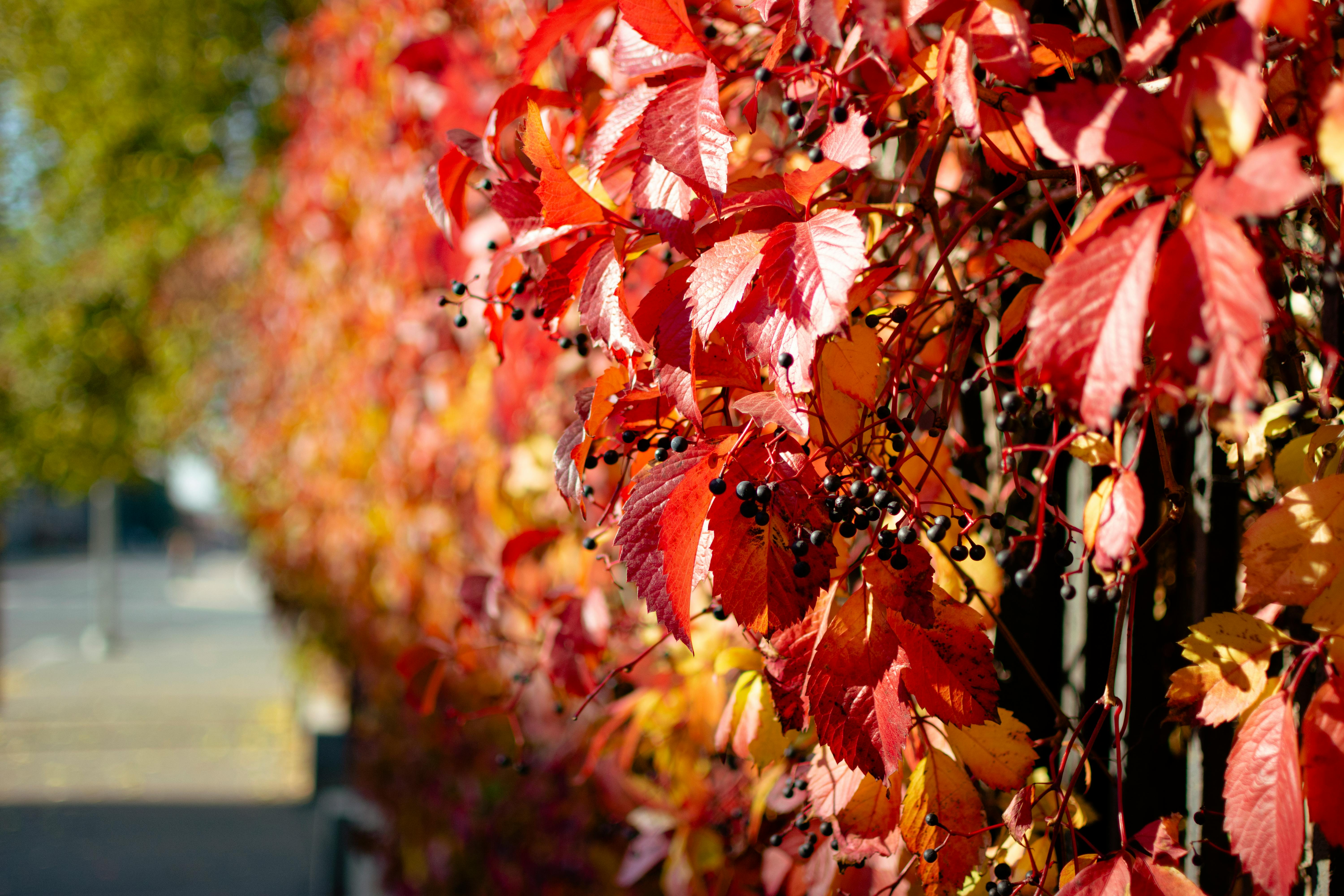 Shocking Ways to Boost Your Plant Growth with Minimal Effort