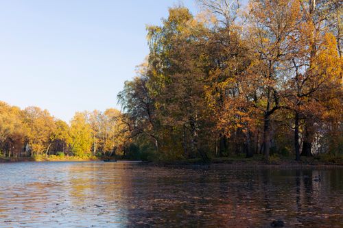 Free A tranquil autumn scene featuring vibrant trees by a calm river in a park setting. Stock Photo