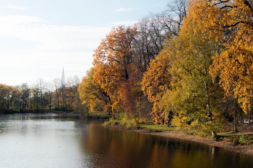 公園, 季節, 改變 的 免费素材图片