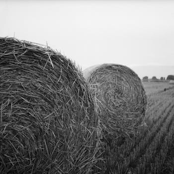 Gray Scale Photo of Haystack on Field