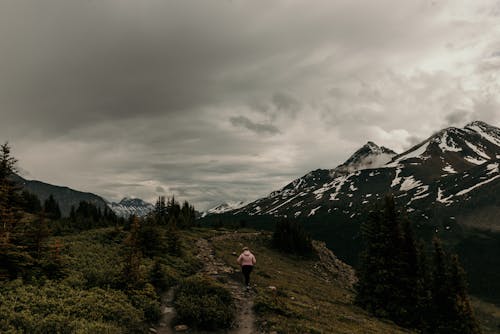 ハイキング, ライフスタイル, 余暇の無料の写真素材