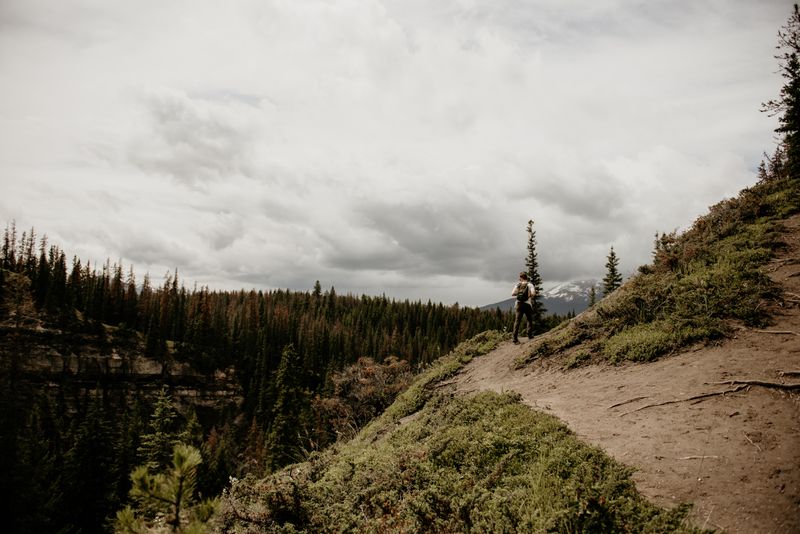Backcountry hiking trail through old-growth forest