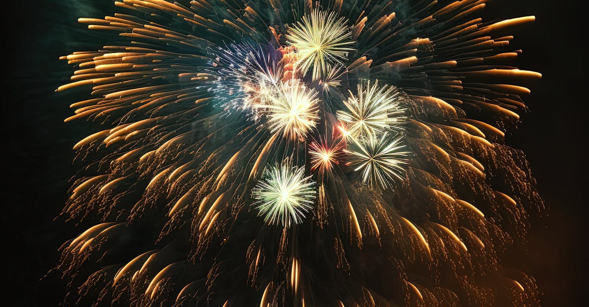 Feuerwerk · Free Stock Photo